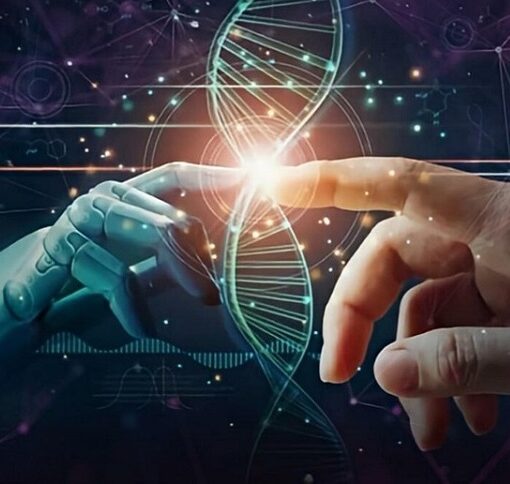 使用人工智能的风险